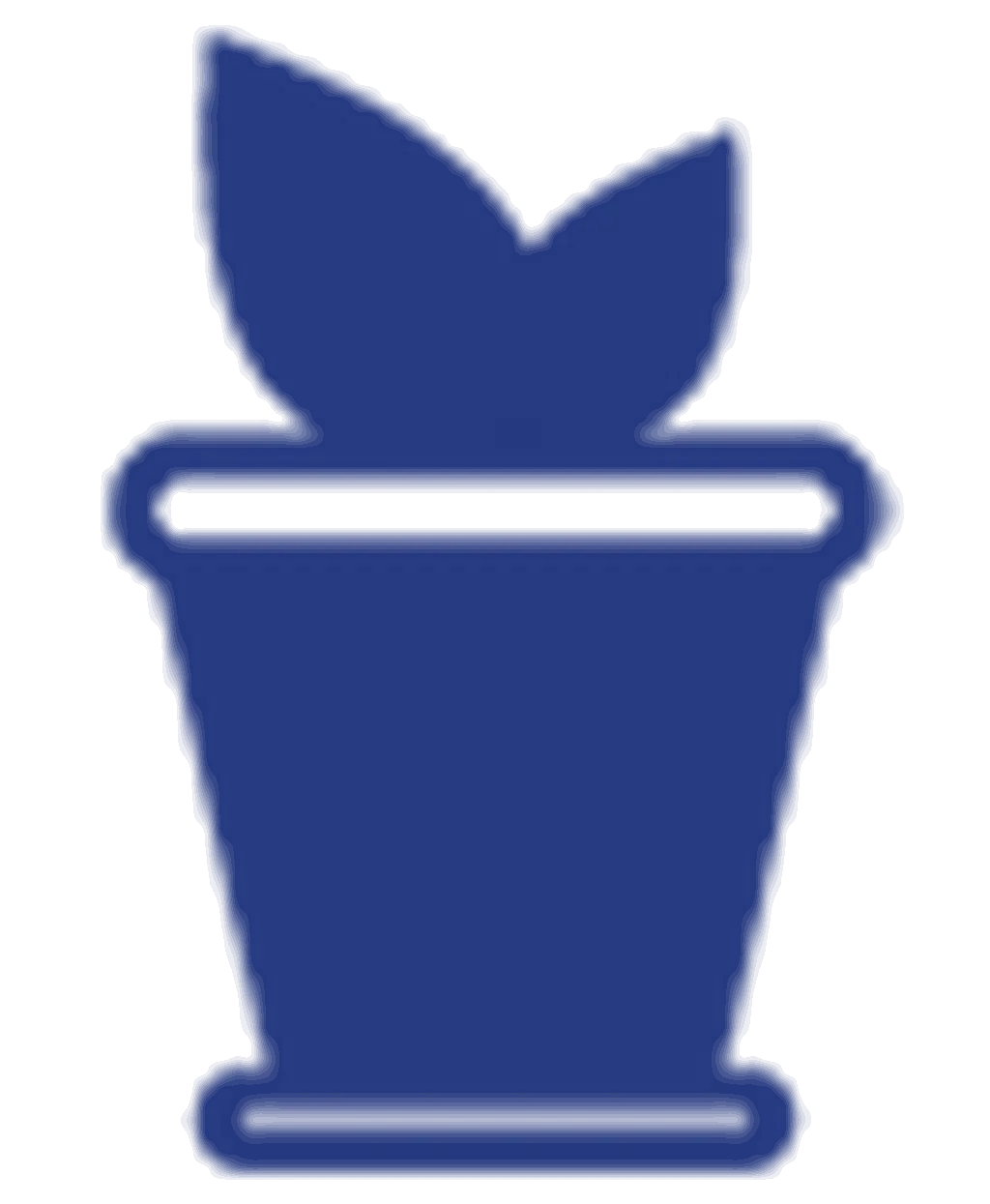 Saksı Çiçekleri - Kategorisi