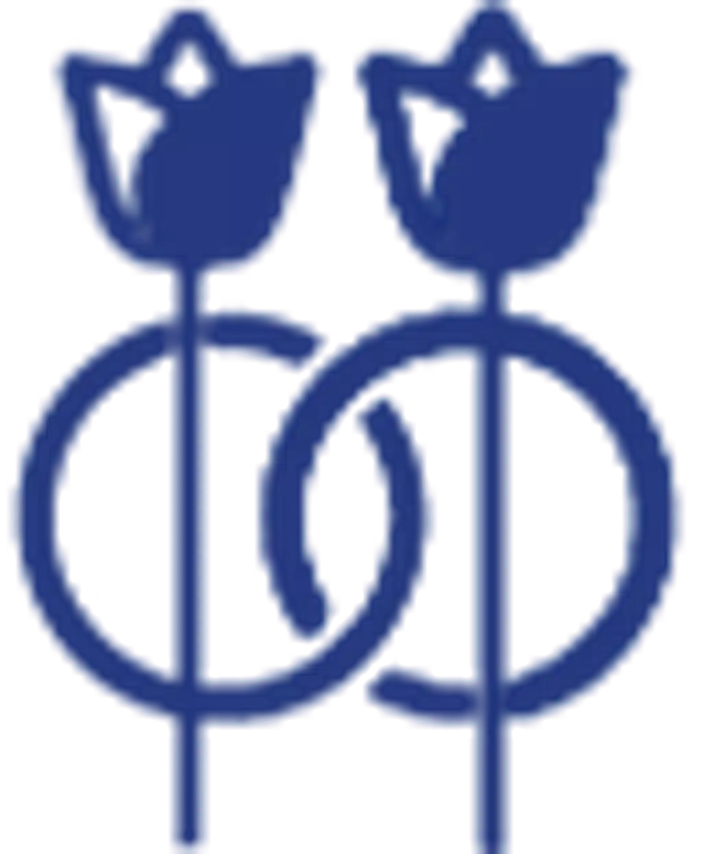 Söz/Nişan/Düğün Çiçekleri - Kategorisi