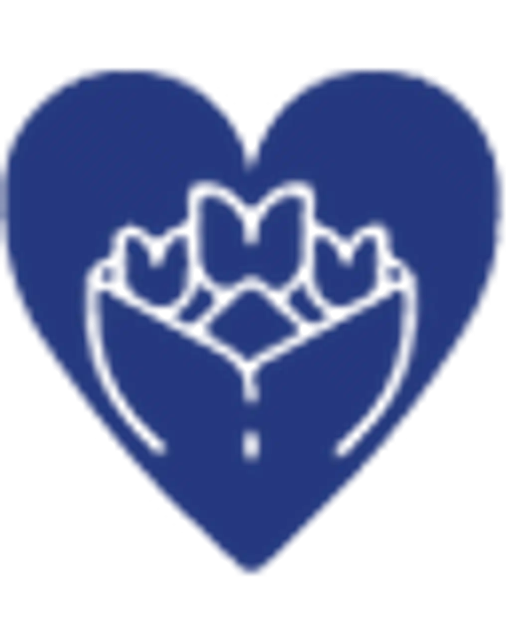 Sevgiliye Çiçek - Kategorisi