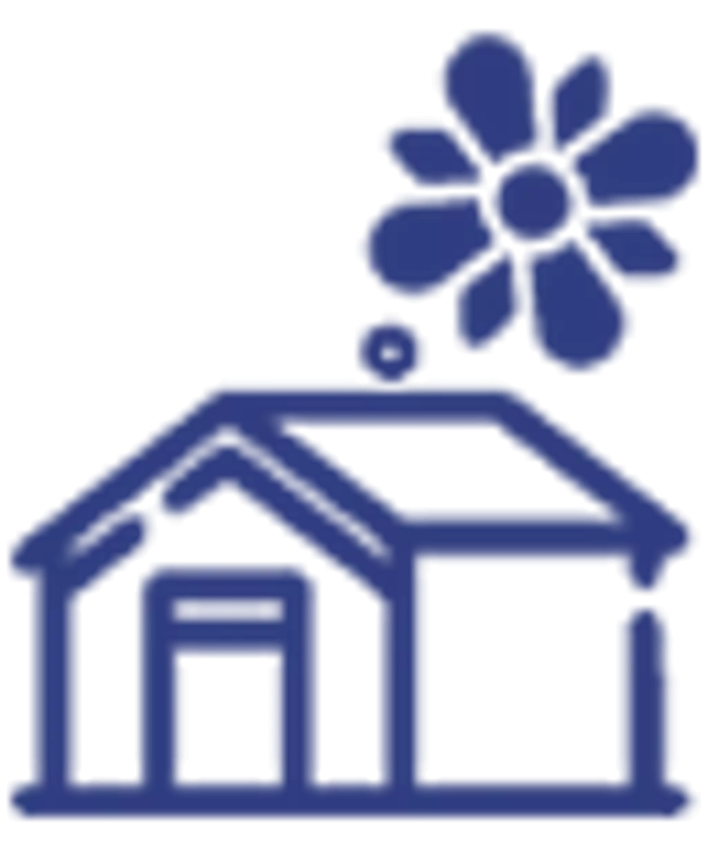 Ev Çiçekleri - Kategorisi